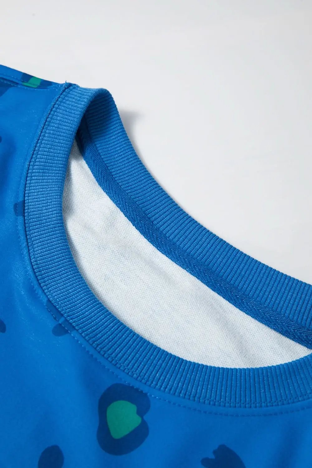 Sky blue leopard print pullover - Love Salve